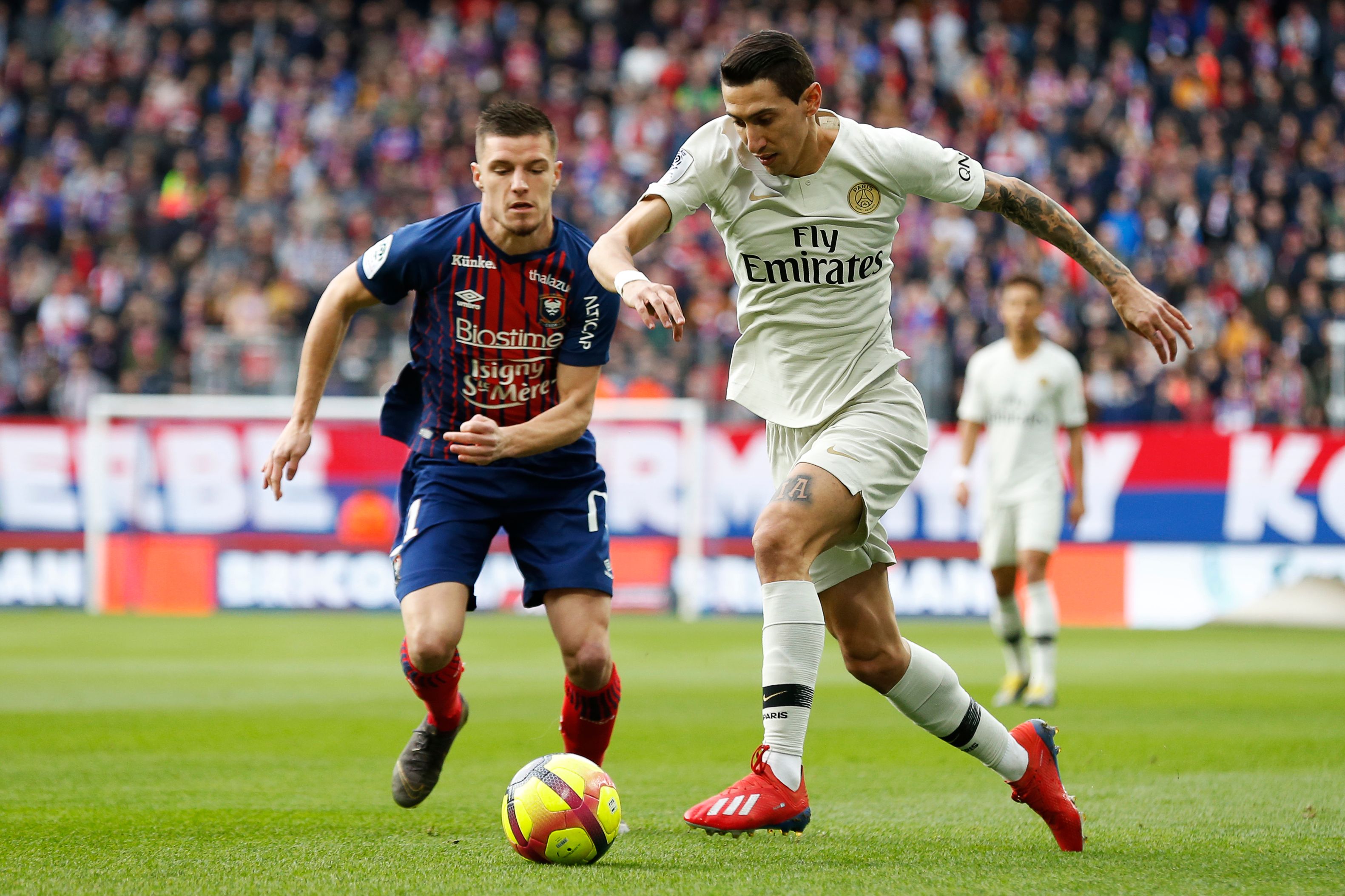 退役、与王楚钦不和、和王曼昱恋爱，林高远身上哪个传闻是真的